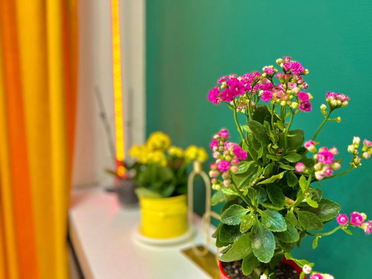 טביליסי Ortachala Romantic Apartments מראה חיצוני תמונה